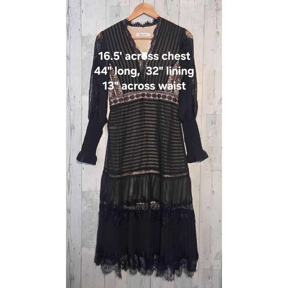 Cate Cat Midi Whimsygoth Illusion Chiffon Lace Poet Bishop Sleeve Dress Sz. M - Picture 4 of 11